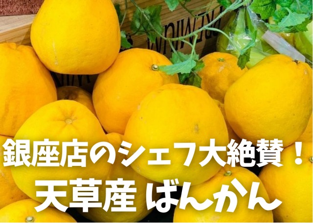 【送料込】熊本天草ばんかん(ジューシーフルーツ)