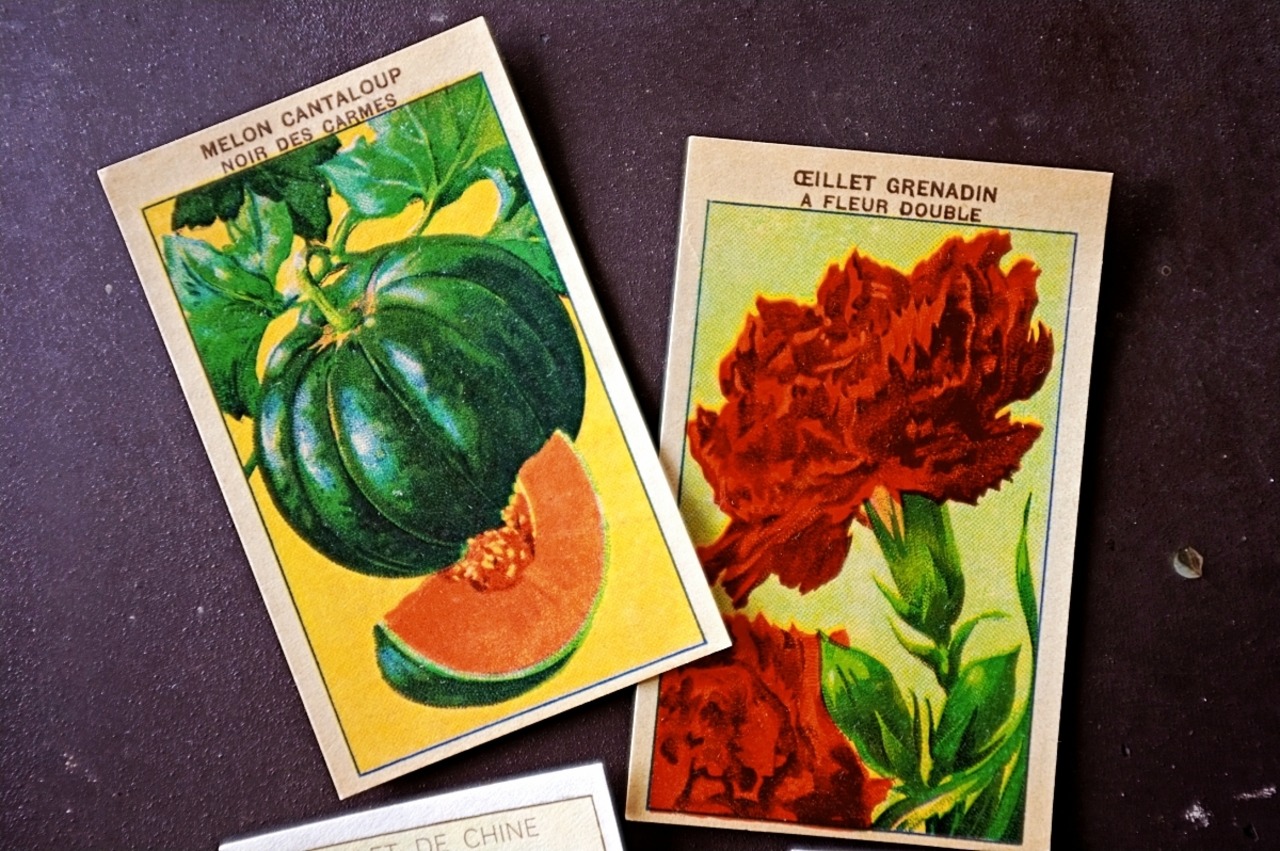 20s フランス 4set 膨満な花々と野菜たち 種子袋用ラベルv アンティーク