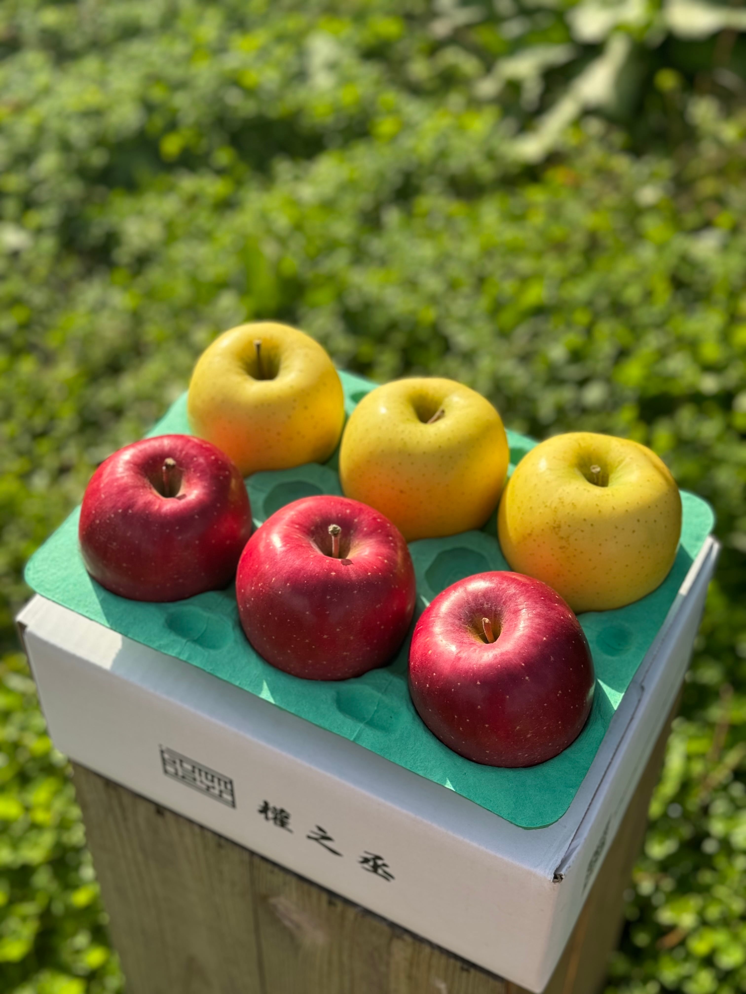 シナノゴールド＆葉取らずコスモふじ家庭用　2kg