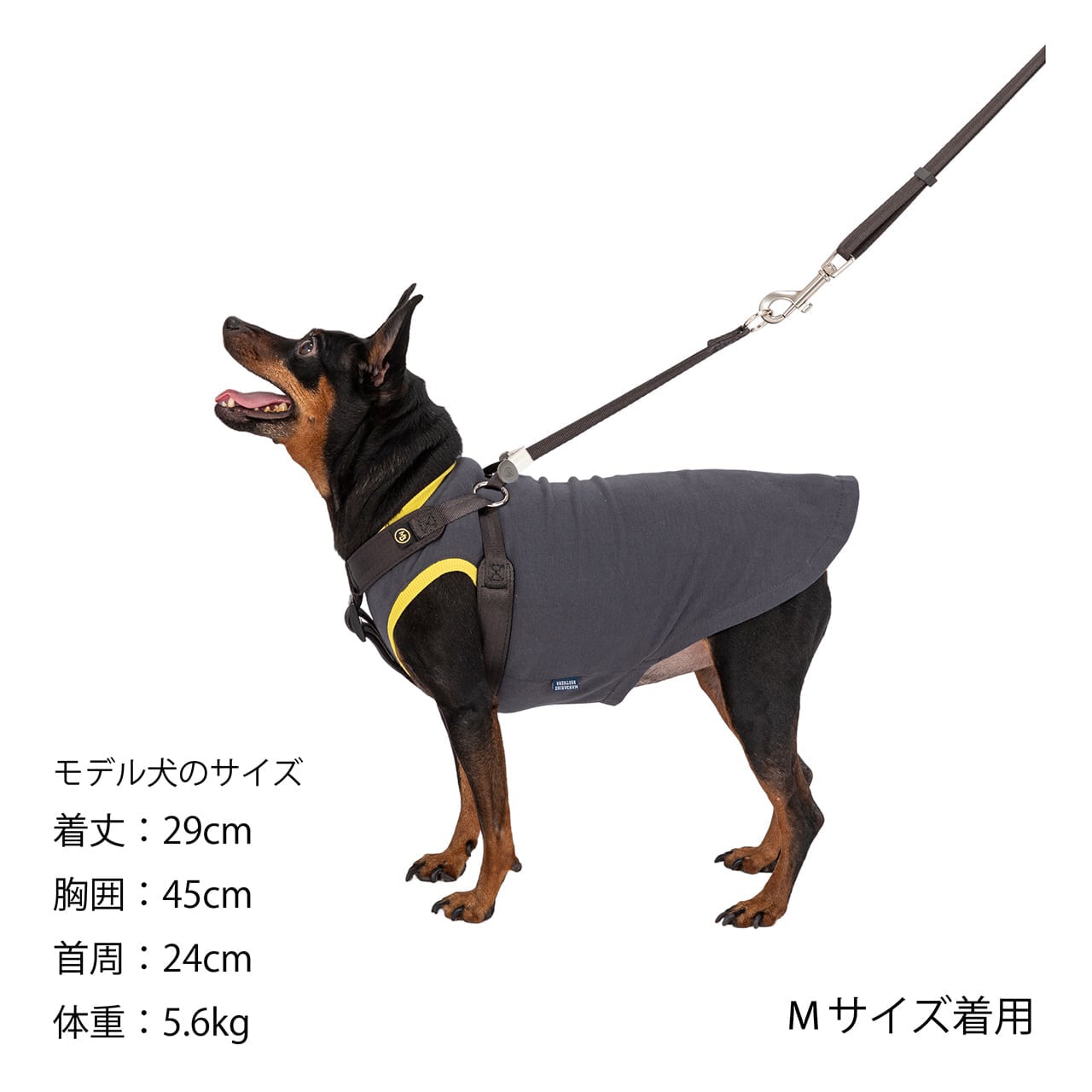 CLASSIC HARNESS Sサイズ クラシックハーネス Sサイズ | MANDARINE