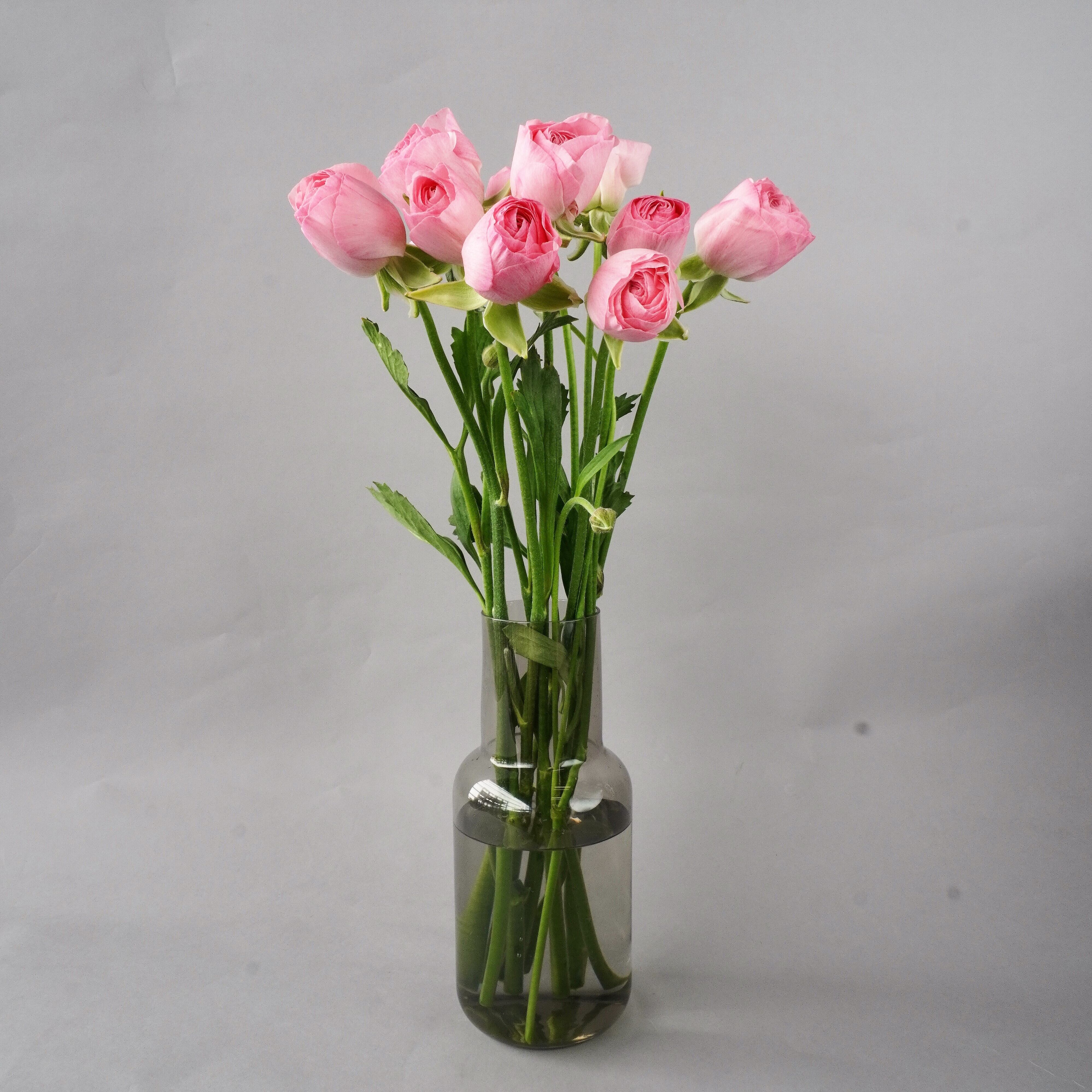 超ポイントアップ祭 ドドレ 送料無料 ラナンキュラスピンクのボリューム花冠 調節自由 一点物のヘッ ス ナチュラル ピンク シルクフラワー 薔薇 造花 花輪 ヘ 次会 パーティー ッドリース ウェディング 結婚式 二 ドレス Pritishnandycom Com