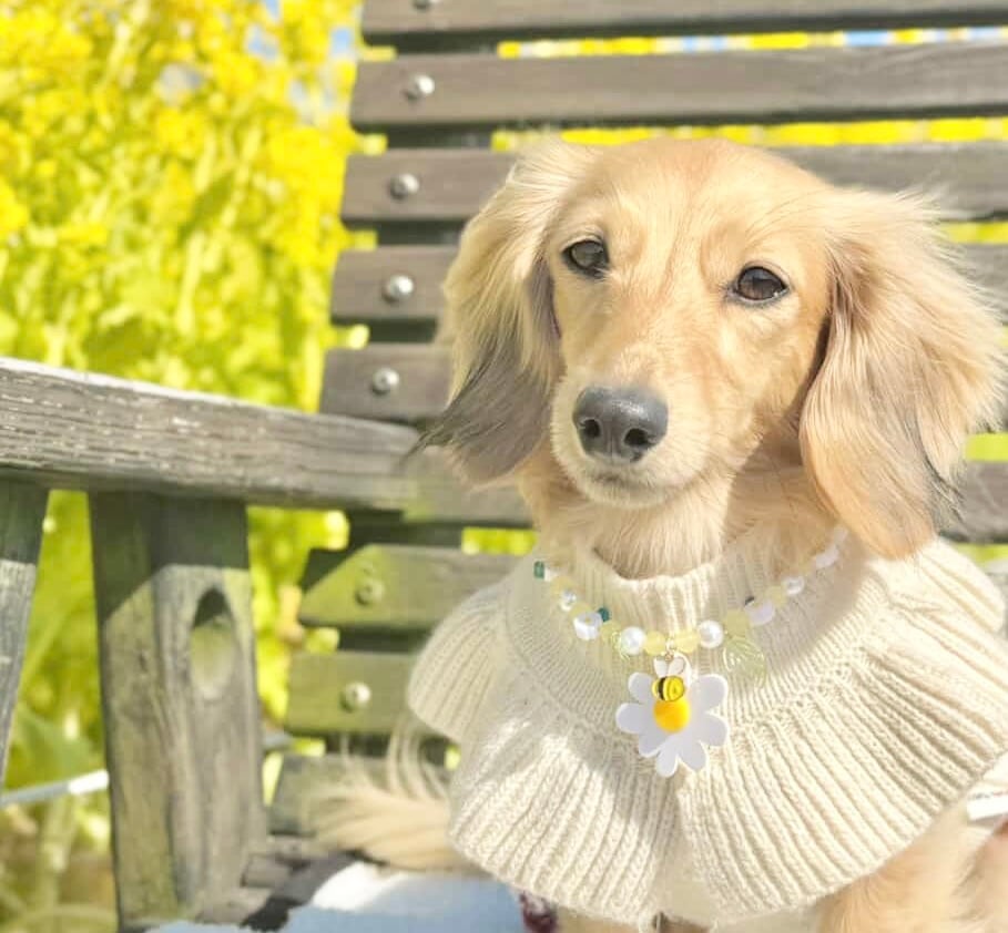 葉っぱゆらゆらのお花ネックレス