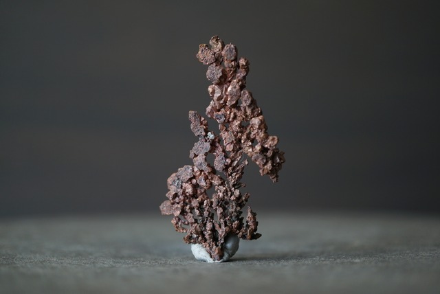 カザフスタン産自然銅  Native Copper 1889