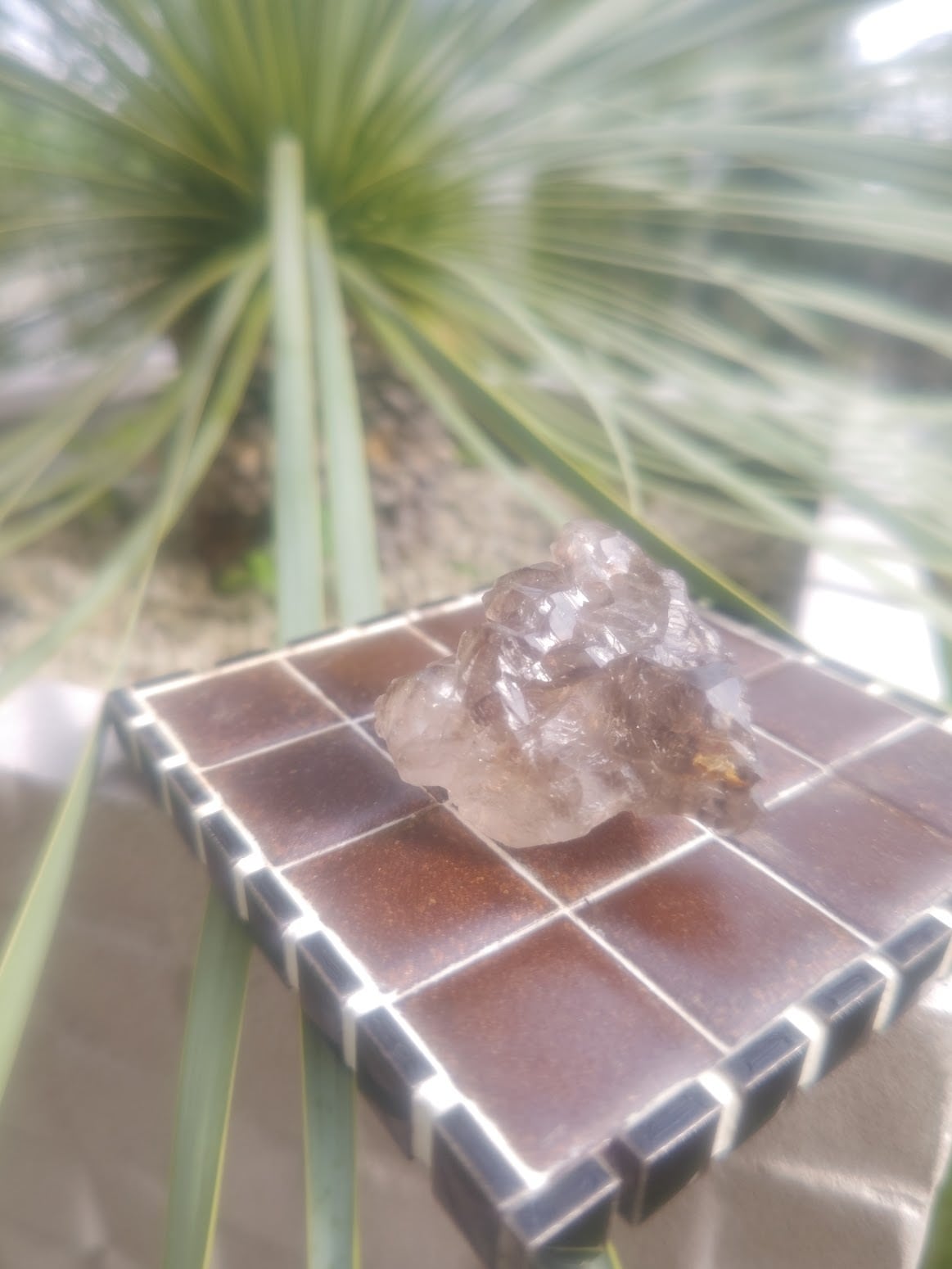 ジャカレースモーキークォーツ スモーキージャカレークォーツ｜邪気を祓い安定へ導く希少エレスチャル