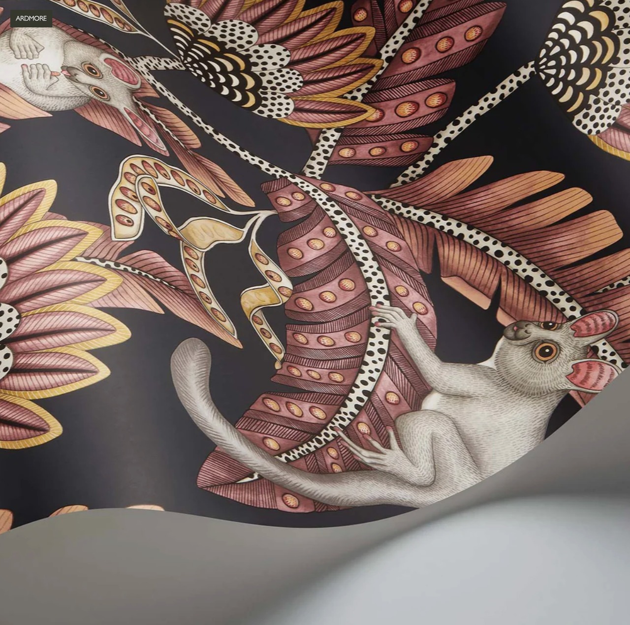 輸入壁紙　Cole & Son Bush Baby