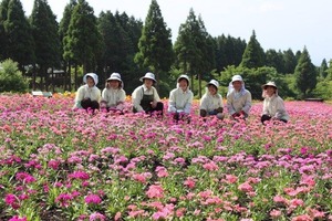 くじゅう花公園