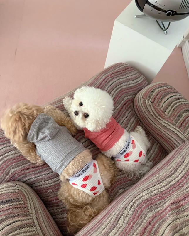 予約【songpyeon】Songpyeon Hotline Hooded Top & Pant Set (3Color)