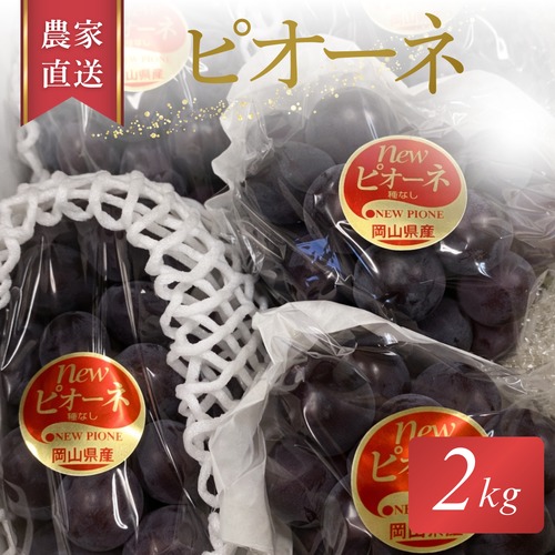 岡山県産ピオーネ２kg（3〜5房）贈答用