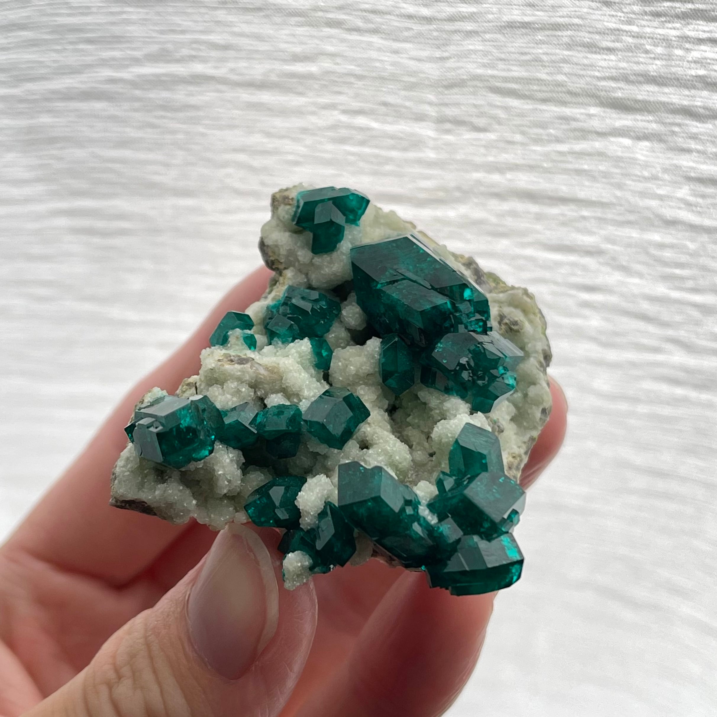 ダイオプテーズ / ダフタイト / カルサイト【Dioptase on Calcite with