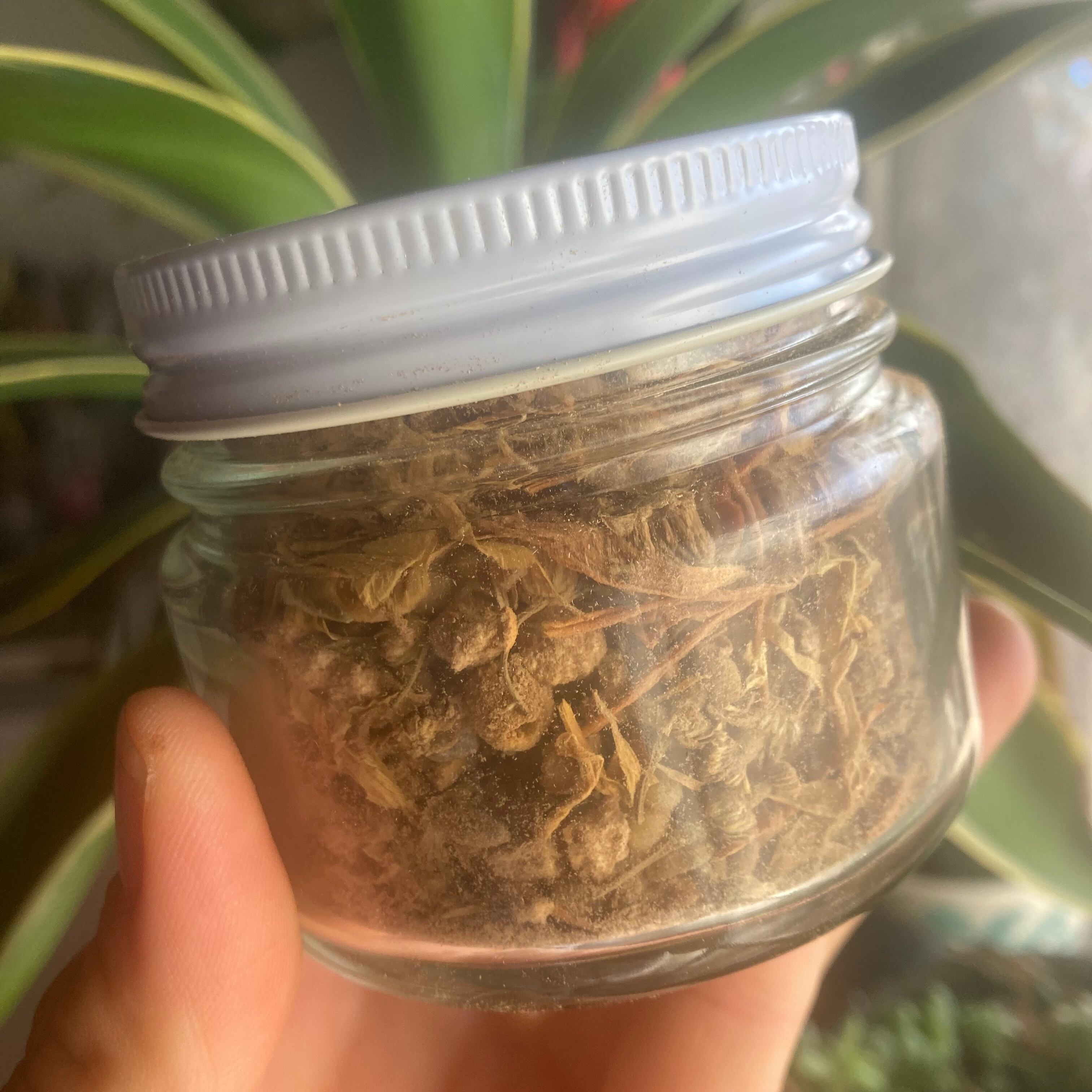 「イエローサンルースインセンス」Yellow sun loose herbal incense