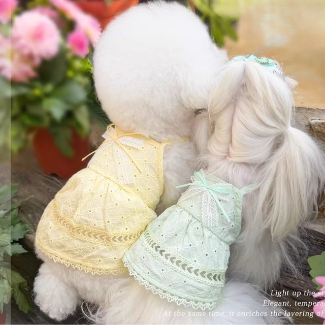 エアフローコットンレースのワンピース　犬服　1123