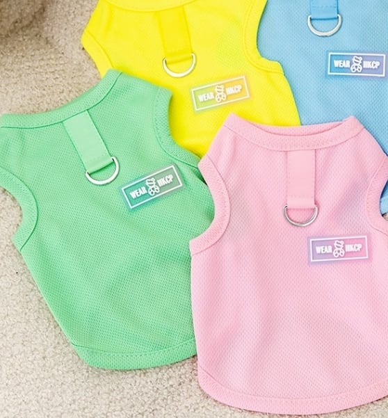 ドッグ 犬 小型犬 ドッグウェア 室内着 ベスト スリム 細身 ストレート スマート 袖無し 肩出し 襟無し 薄手 かわいい シンプル カジュアル おしゃれ ラフ ボーイッシュ スポーティー ルーズ クール ラブリー キュート 都会的 ラグジュアリー クラシカル ベーシック プレッピー シンプル シック 無地 夏 サマーシーズン 夏服 男の子 女の子 成犬 デート お出かけ アウトドア 旅行 公園 休日 レストラン カフェ 庭 ガーデン 散歩 ウォーキング 室内 おうち 楽ちん