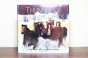 THUNDER OF THE MUSTANG /display book