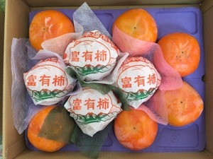 岐阜本巣の柿（富有柿）１２玉