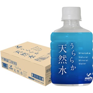 【特価処分】神戸居留地 うららか天然水 PET 300ml 24本 採水 谷川連峰 26mg/L ナチュラルミネラルウォーター 小型 ペット