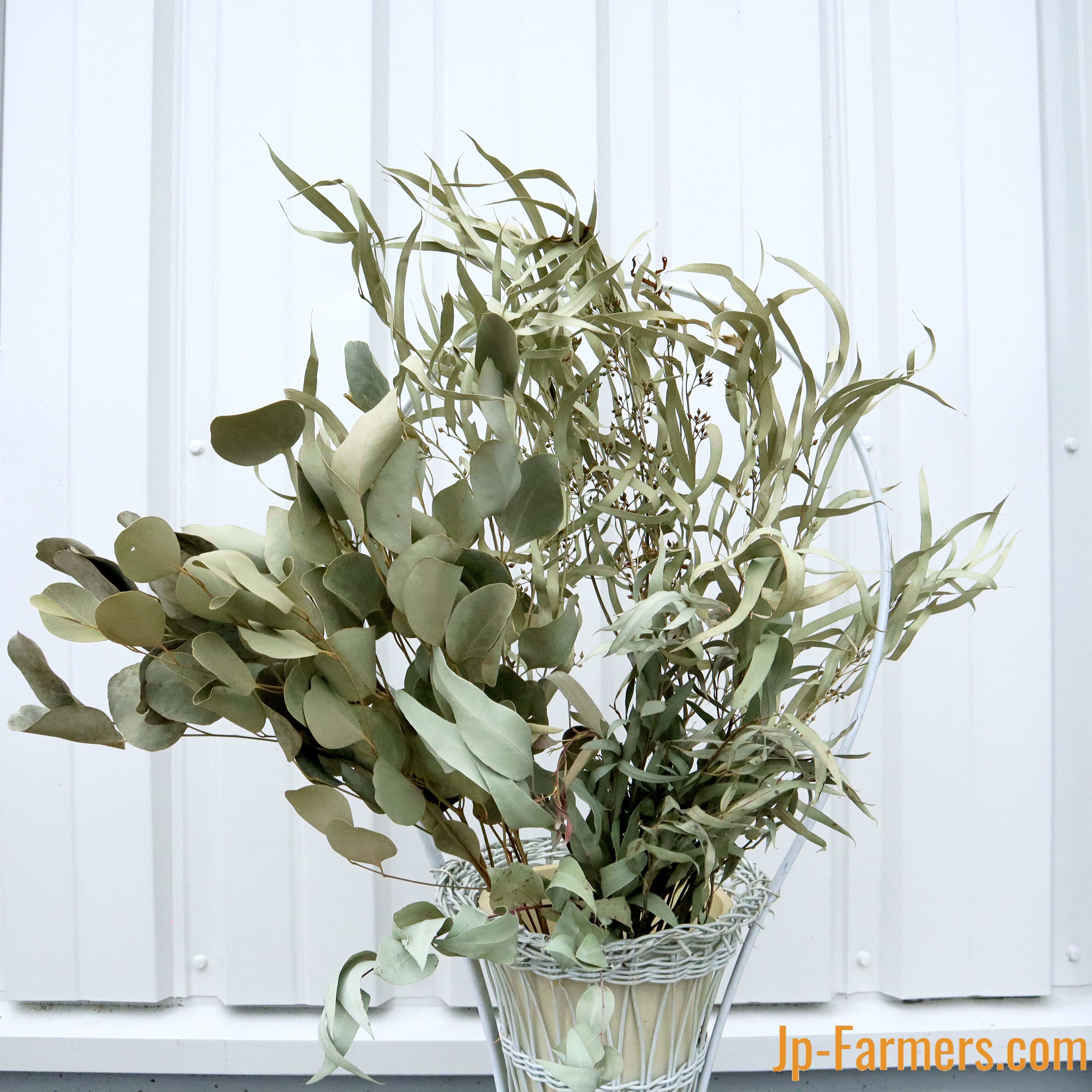 ユーカリおまかせミックス ドライフラワー Jp Farmers Com