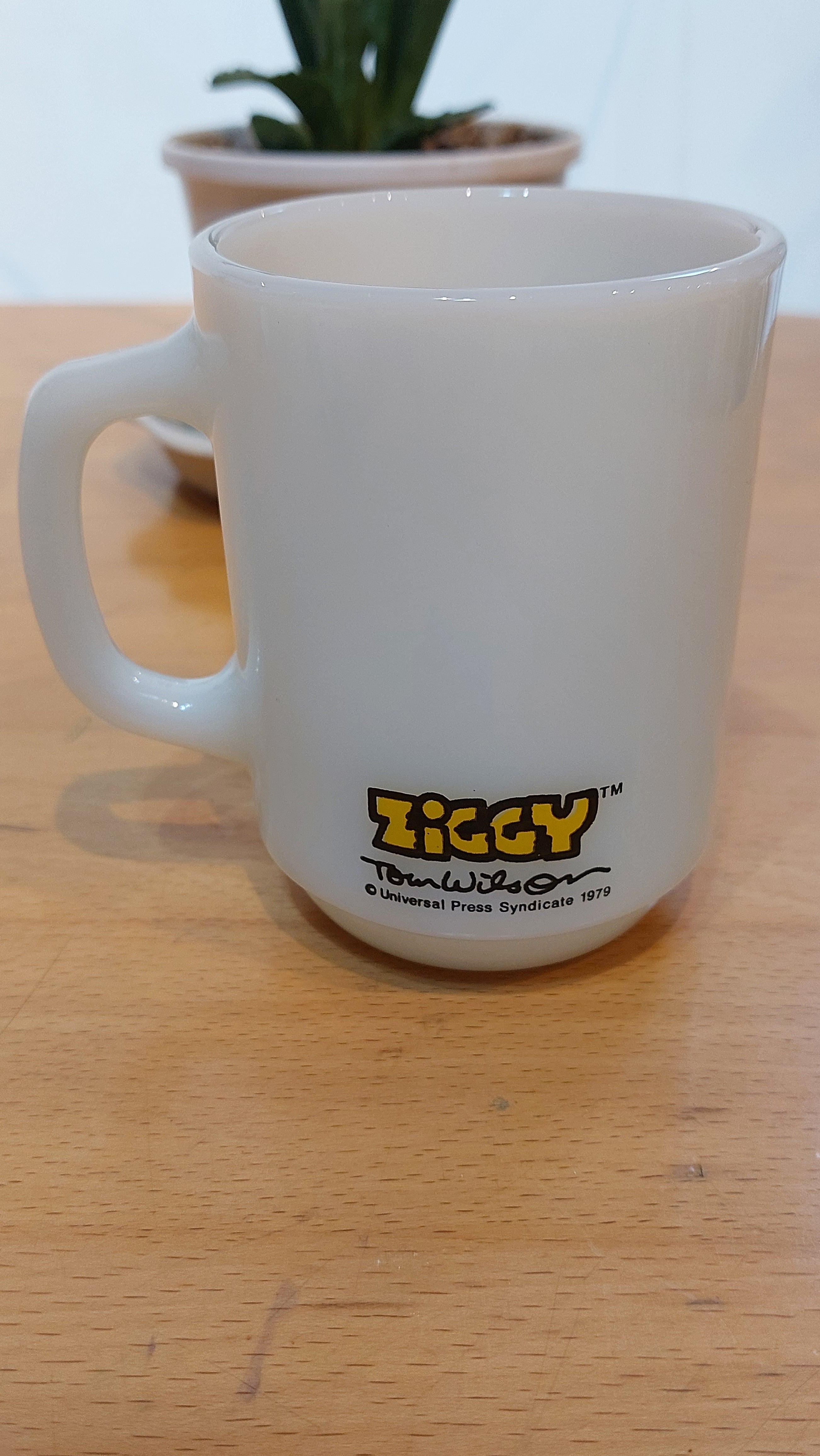 ファイヤーキング ジギーZiggy | 雑貨店KotaKota 通販部