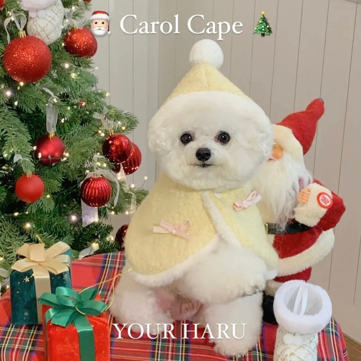 【専用BOX】st 様