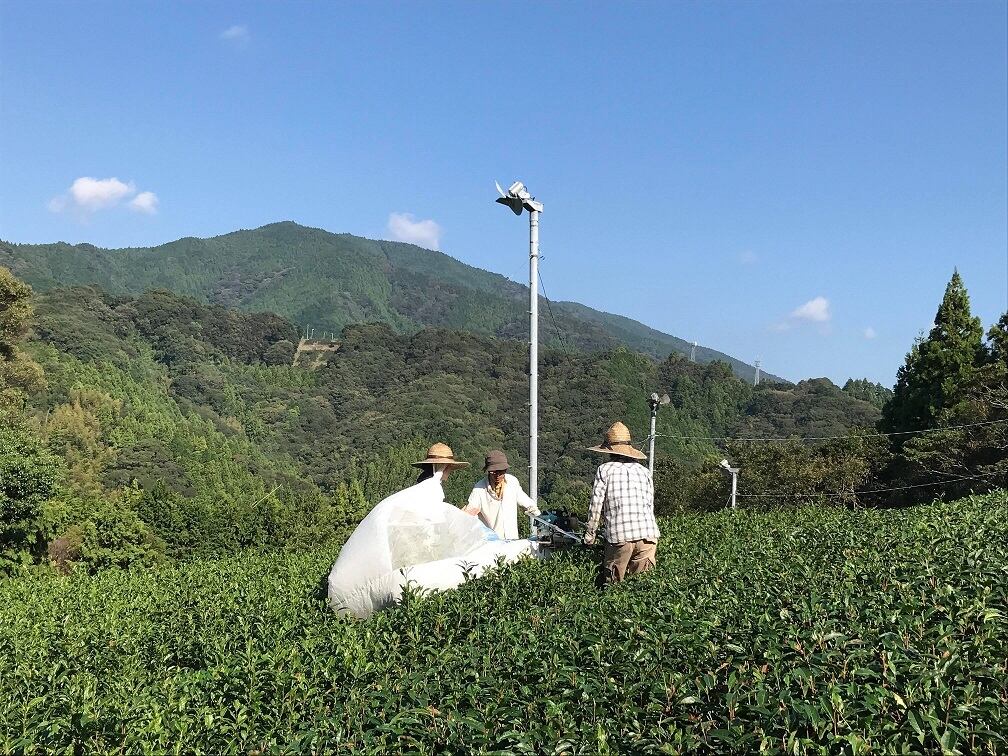 ほうじ茶／ティーバッグ20個入 | 瀬戸谷のめぐみ茶園