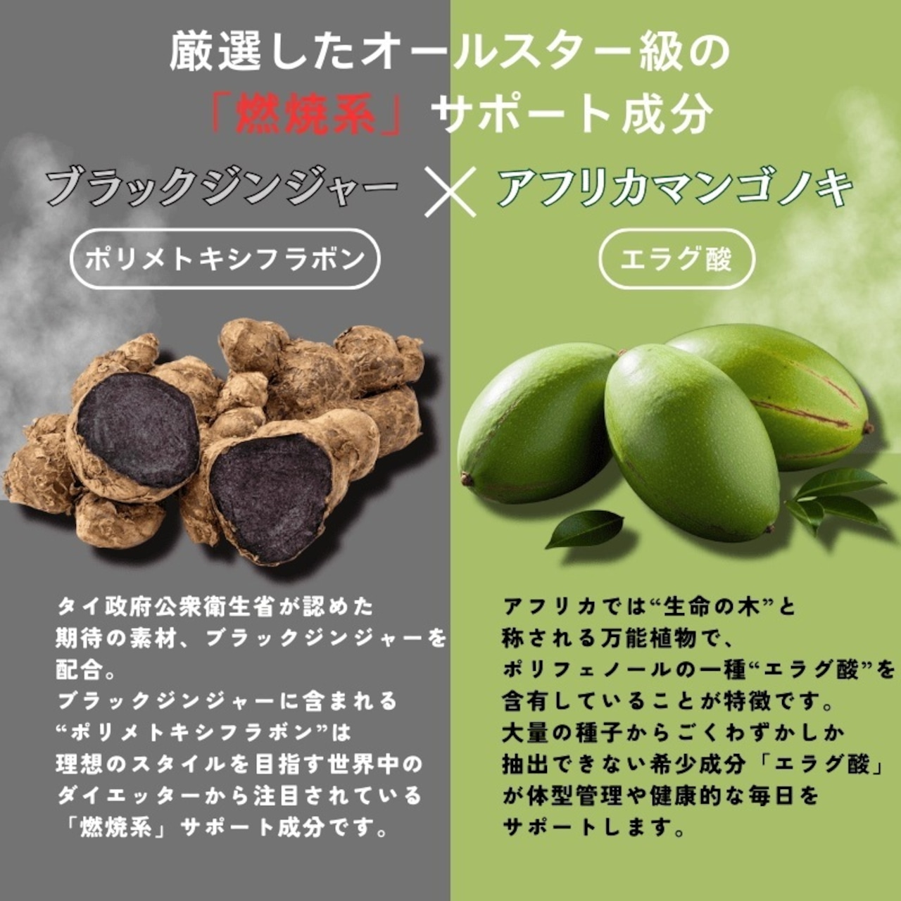 オールスターズダイエット プレミアム