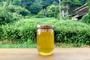 503（2025）-490g-