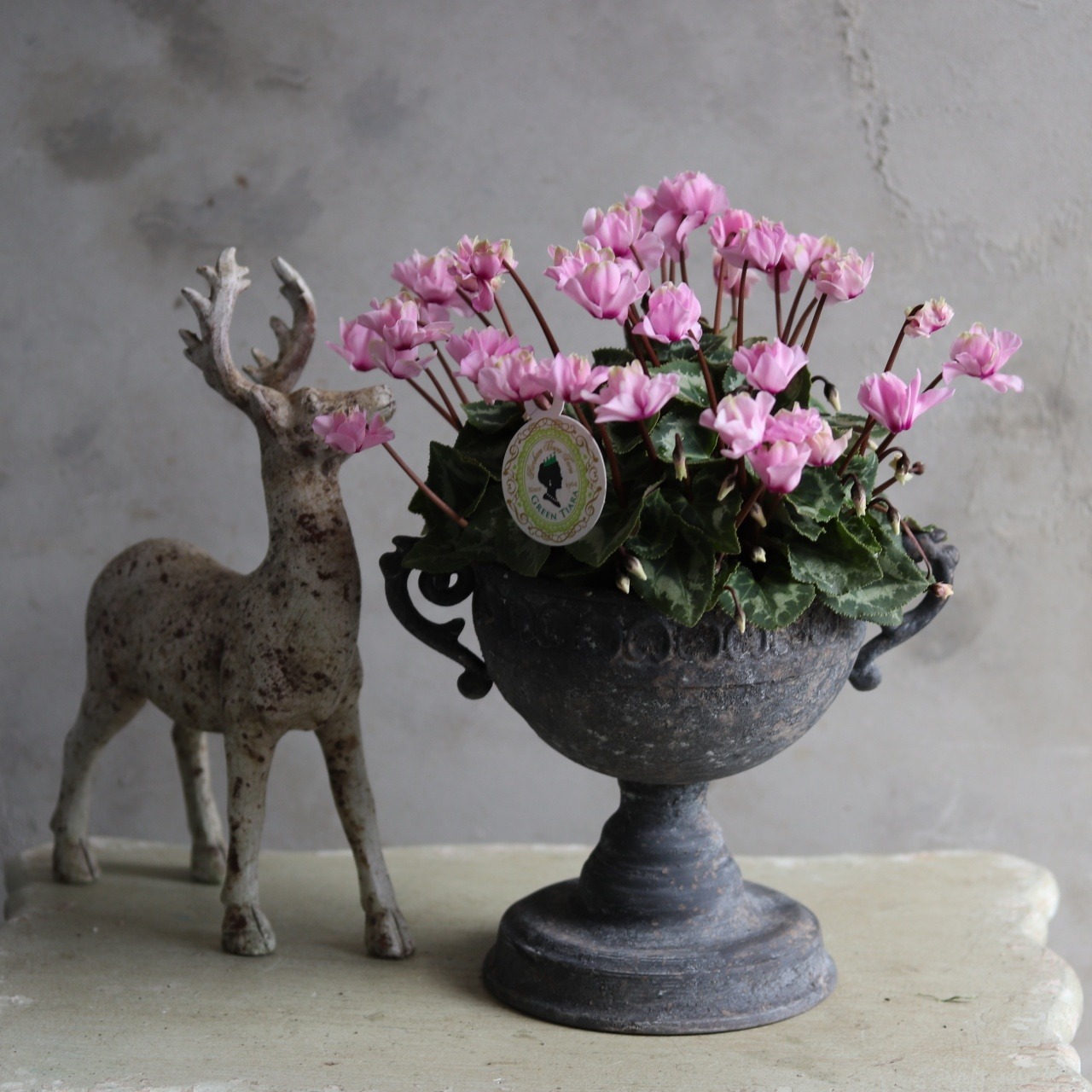 植木鉢　アンシャンハンドルカップSGY　アンティーク調　シャビーシック　オシャレ　UF561