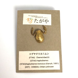 【たがや】 ピンバッジ「トゲヤドリカ二ムシ」