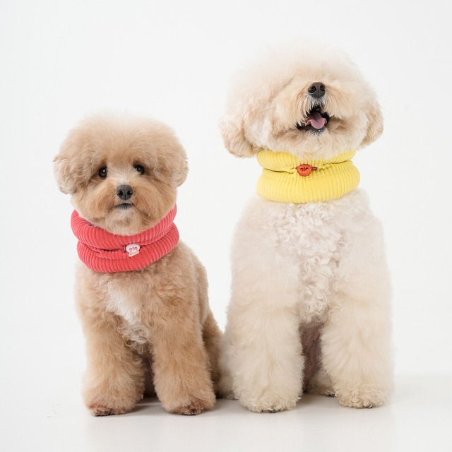 【送料無料】オレオシャツ(BLACK)