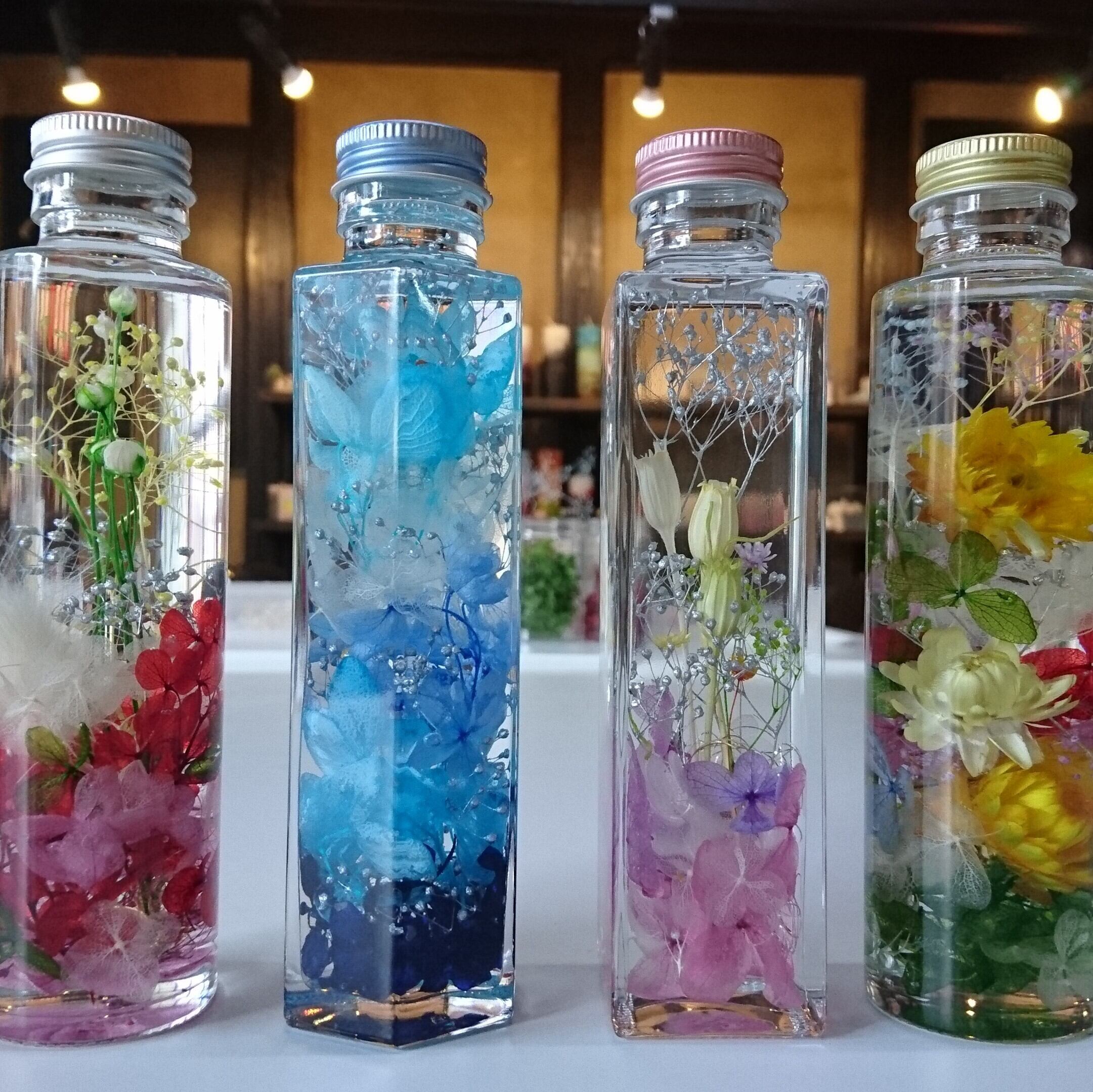 カラフルソルガム　{カラフルマリン}    インディアンコーン カラフルソルガム {カラフルマリン} インディアンコーン 【公式通販】