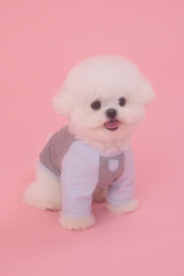 〈即納アイテム 〉PEBBLES / BELL RAGLAN TEE Tシャツ