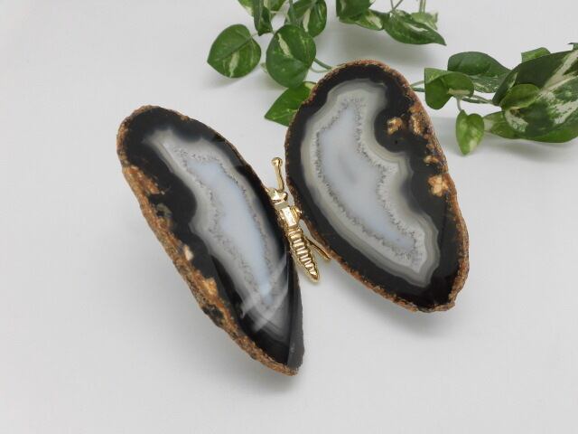 【瑪瑙】　ゴージャス蝶々　no.3