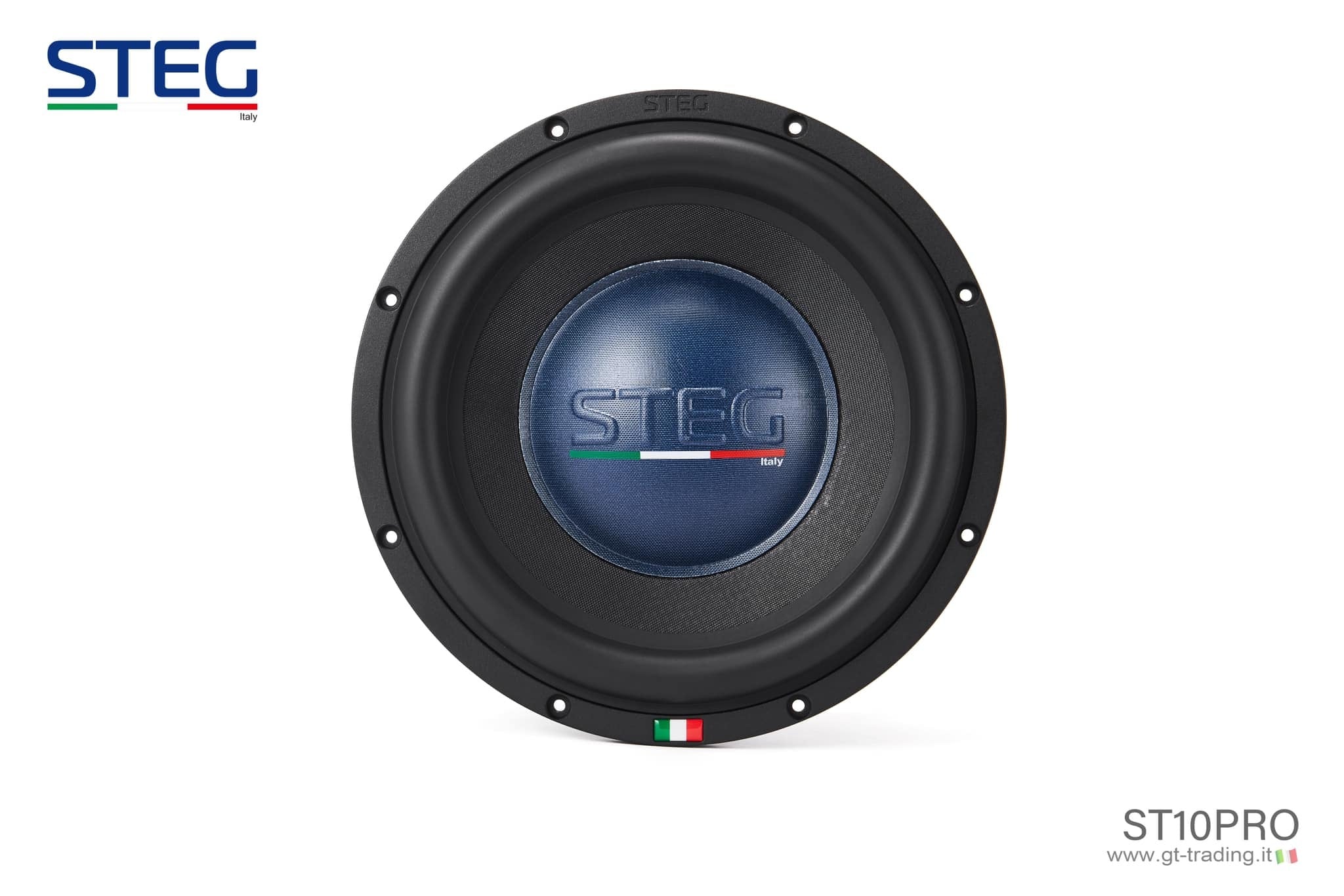 国内正規品】STEG 「ST-10PRO」 ハイエンド10インチサブウーファー
