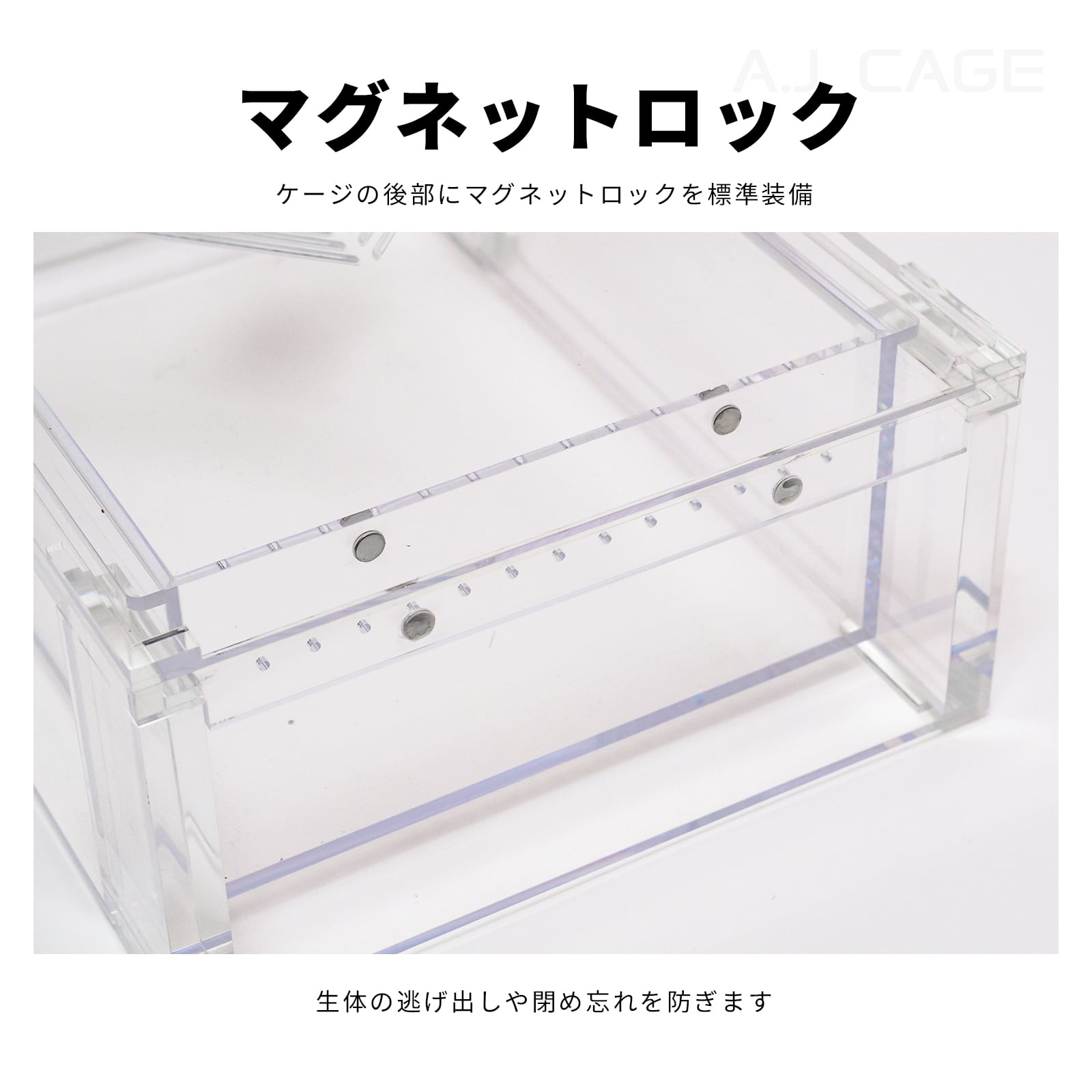 Slide Cage C1-M | ARION JAPAN G.K STORE｜アリオンジャパン G.K ストア