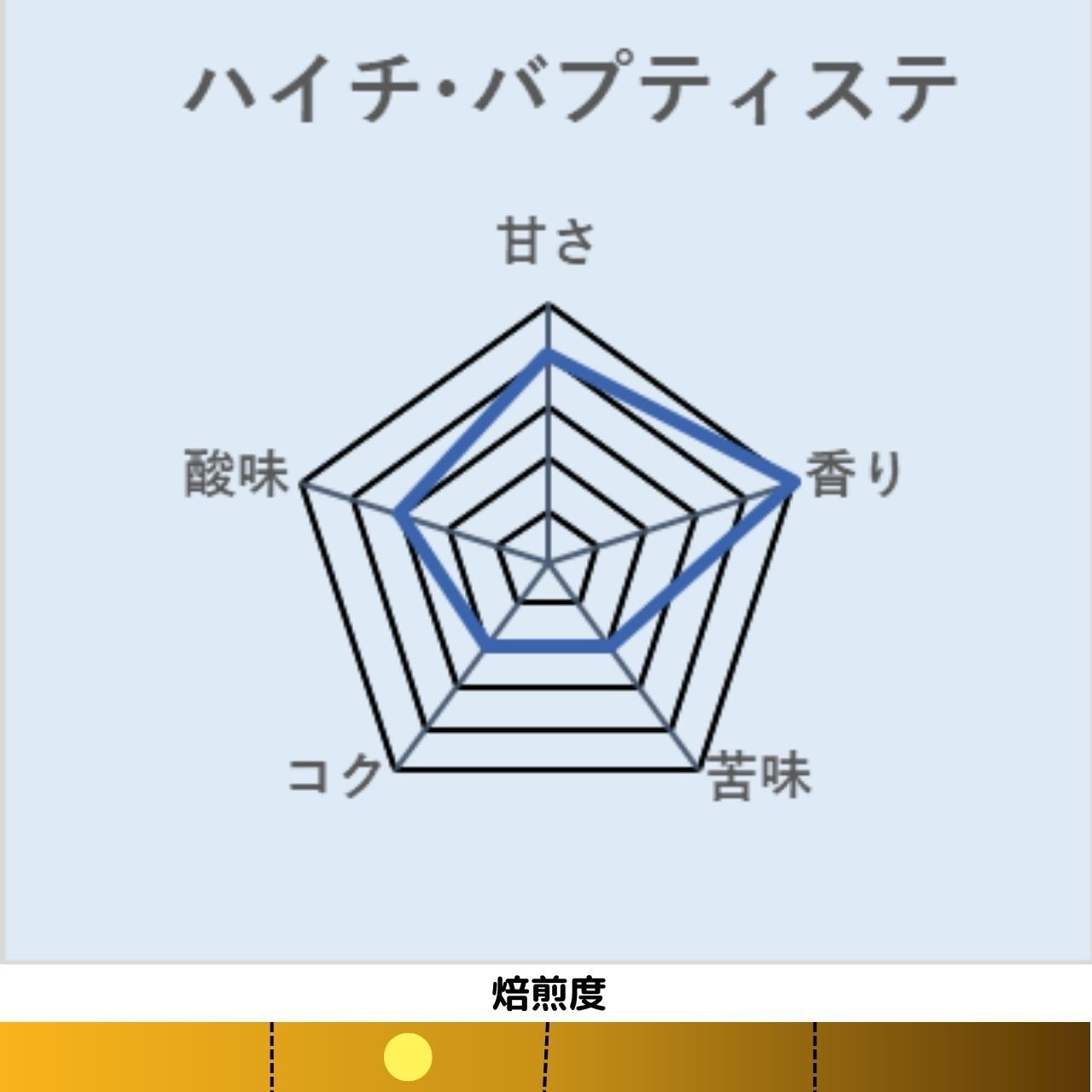 ハイチ･バプティステSP 中煎り　□産地:ハイチ □内容量:200ｇ