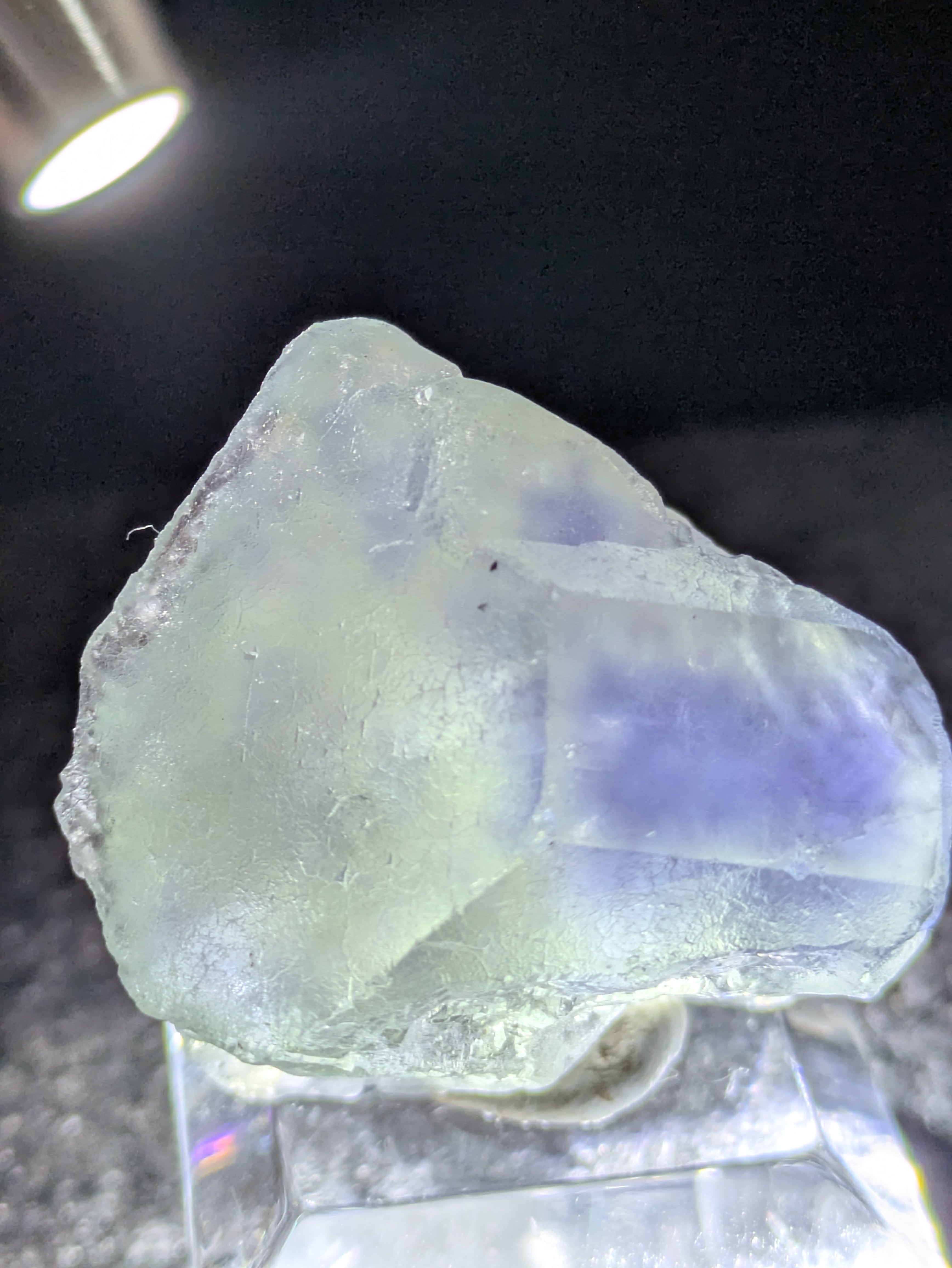 バイカラー】福建省 フローライト 蛍石 原石 標本 | 石処たっちゃん