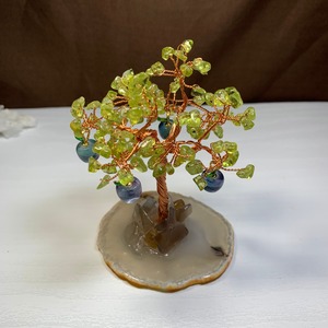 3.りんごがなるペリドット招財樹とフローライトハリネズミ