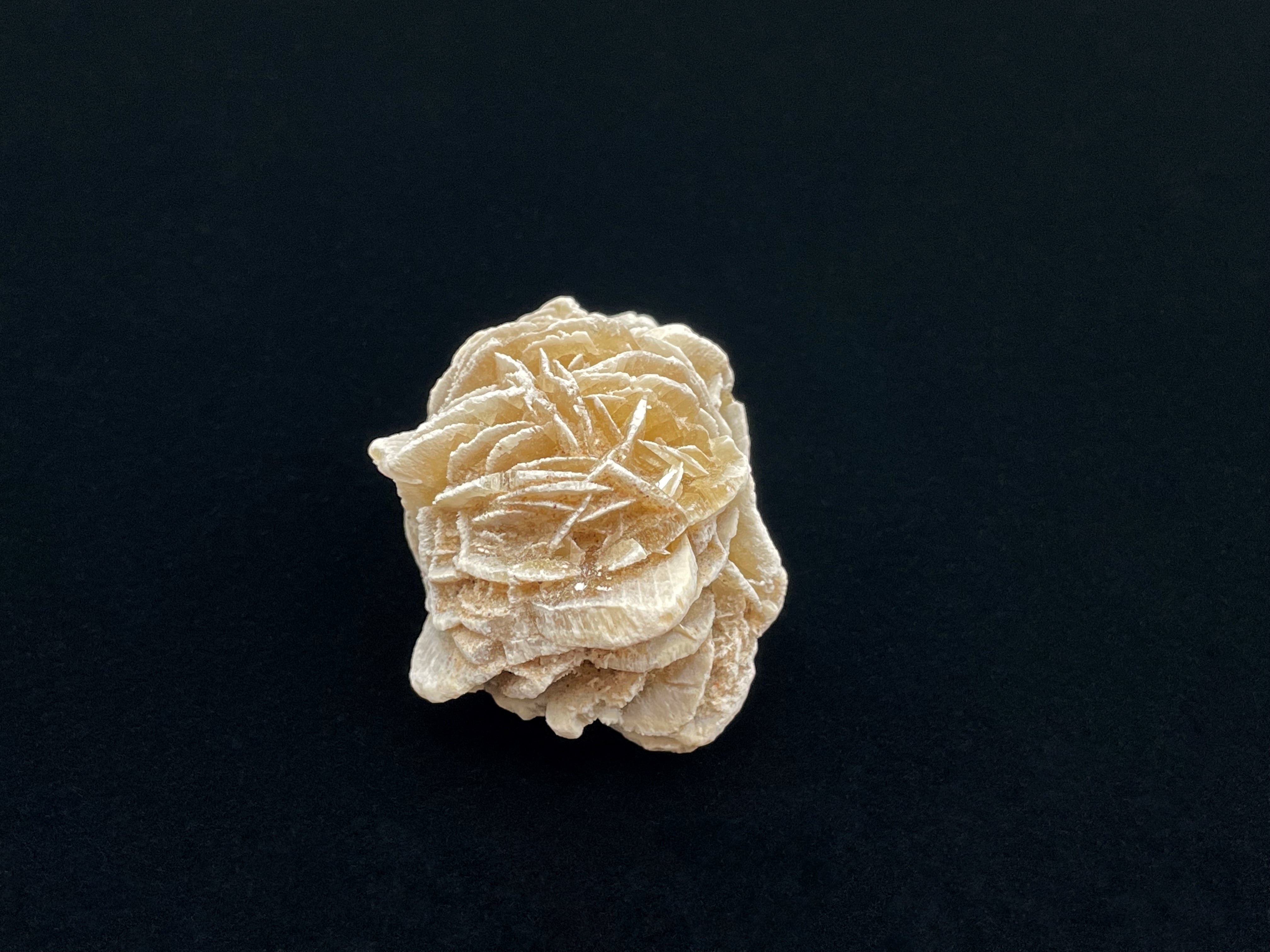 デザートローズ　砂漠の薔薇　ベージュ 約30cm デザートローズ 砂漠の薔薇 ベージュ 約30cm デザートローズ（砂漠の