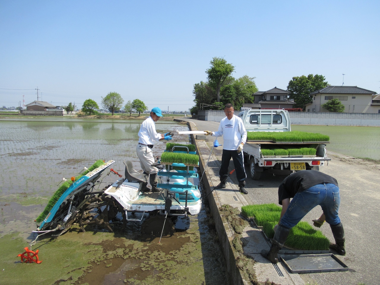 【埼玉県】地域ブランド米”北川辺こしひかり” 5kg＜新米＞　