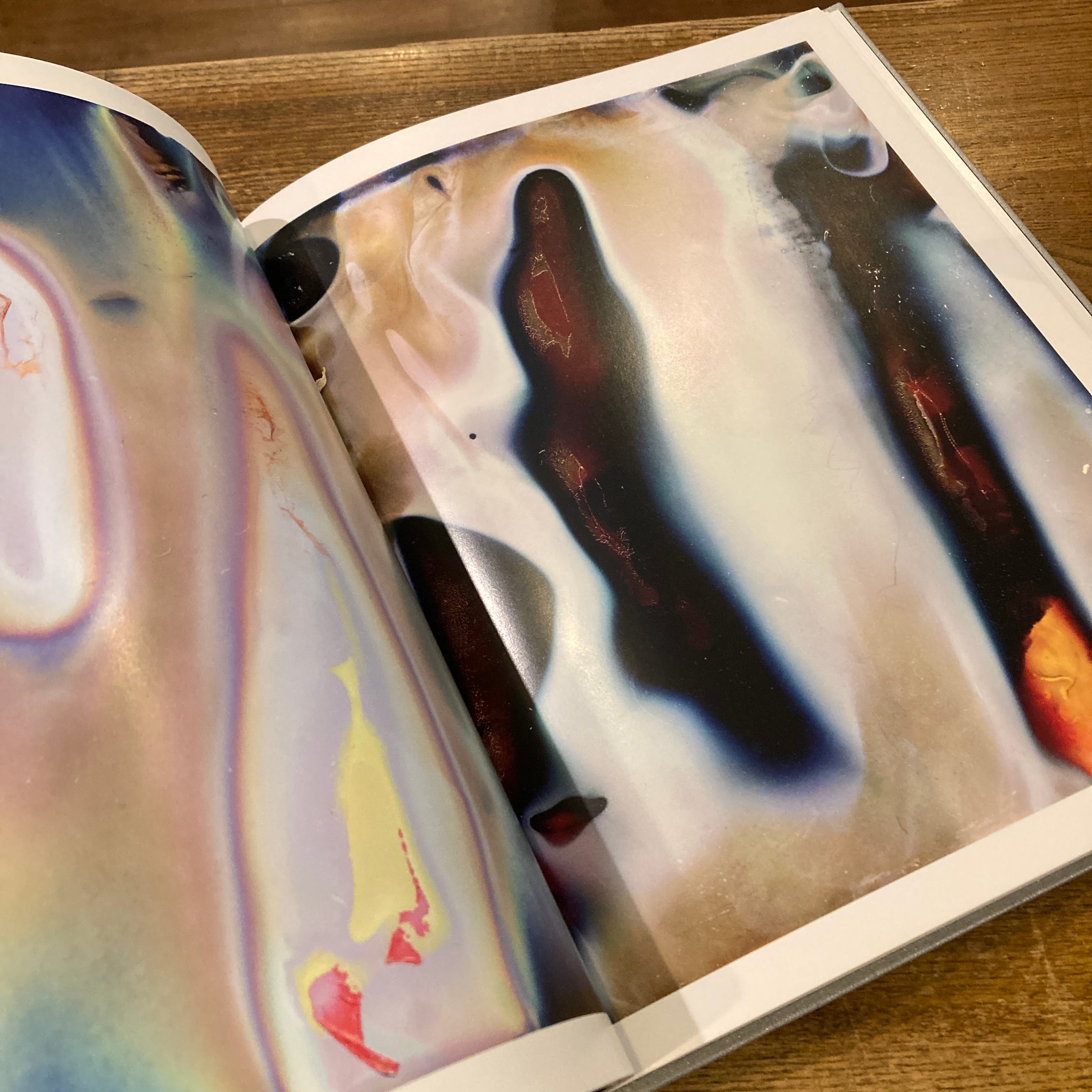 COLOR PHOTOGRAPHS / 横田大輔 Daisuke Yokota | 百年