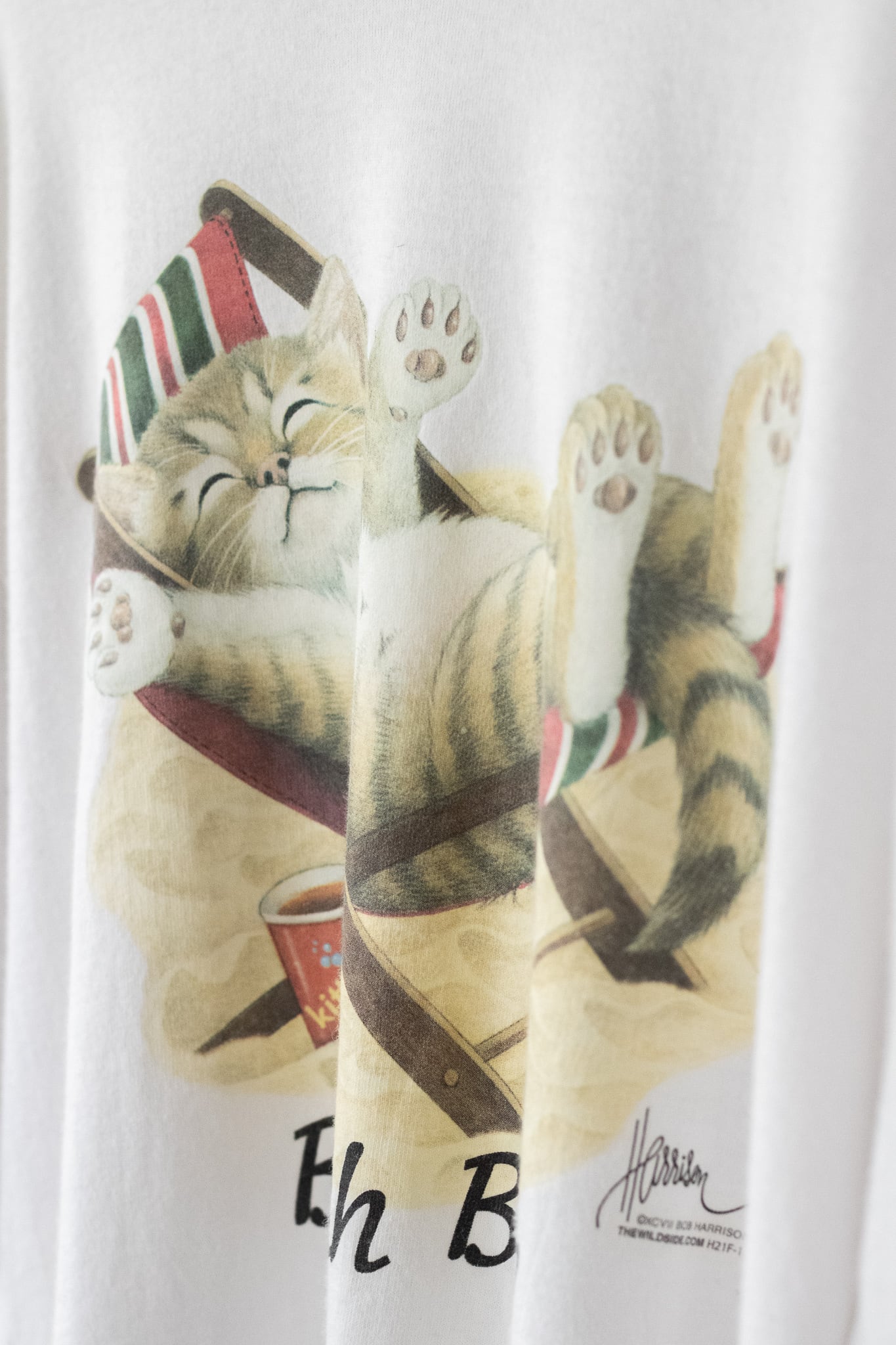 ボブハリソン　ヘインズ　猫 Tシャツ　美品　s m 150 160