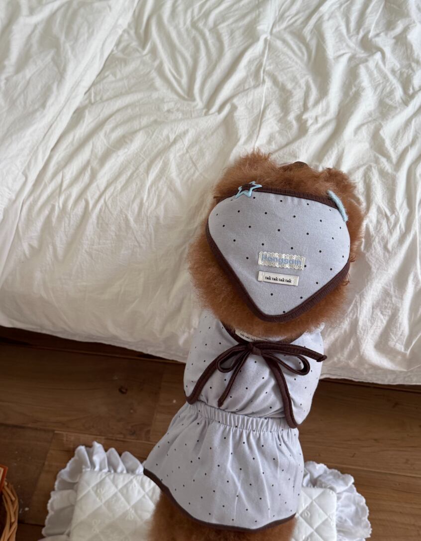 Ops+Bolero/予約【tak!tak!tak!tak!】PowderBlue (Mocha dot cardigan set)