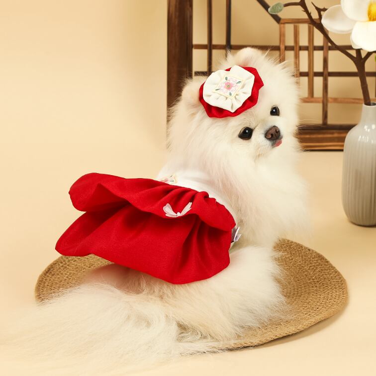 予約【ritogato】Somi Daily Princess Hanbok