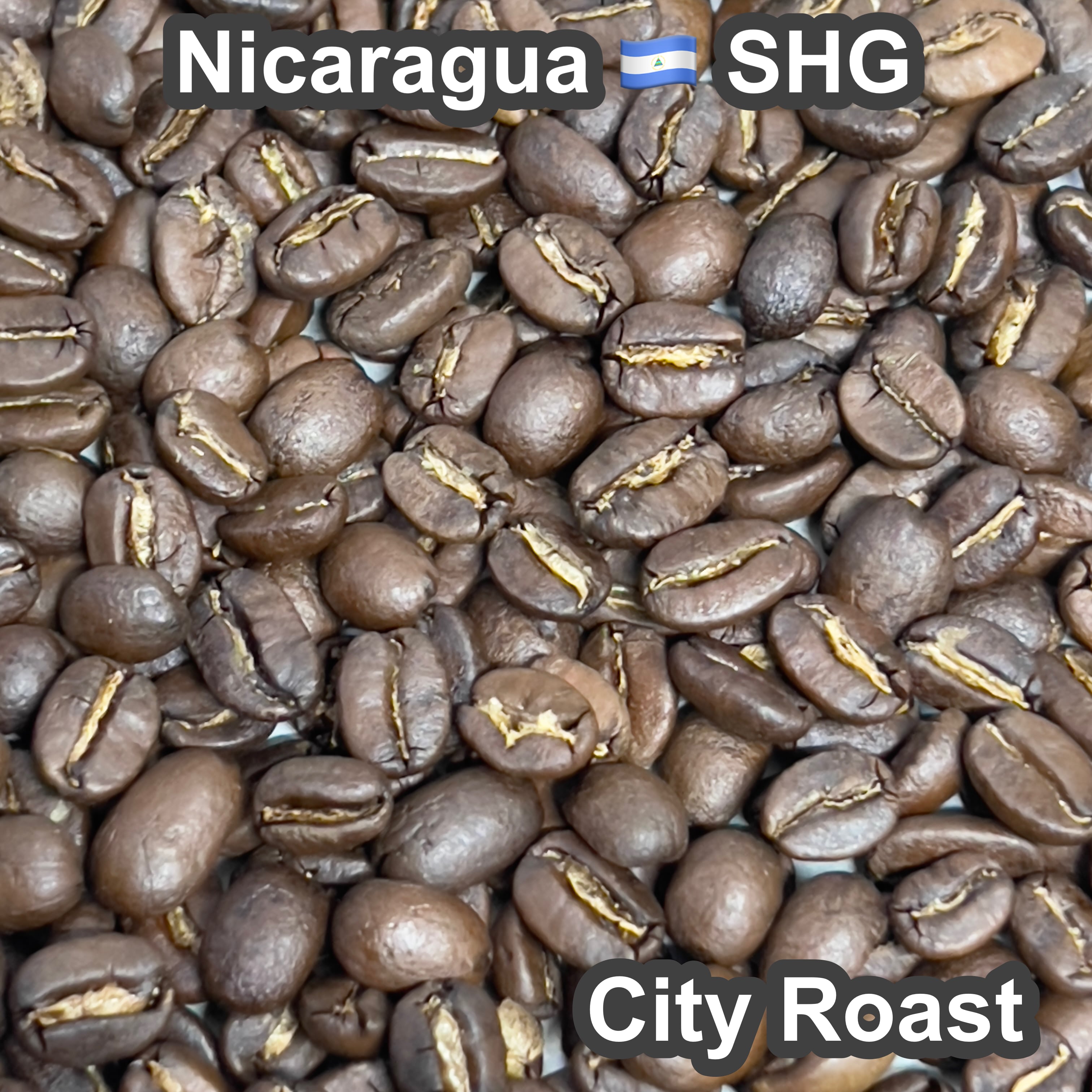 Nicaragua SHG（ニカラグア SHG）100g 【受注焙煎・自家焙煎コーヒー豆