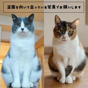 生成AI合成【C】ユニフォーム♥ 愛猫さんの画像をAIで合成してグッズを作る！