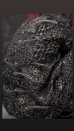 Thomas hooper Shirt & Pants　set up　  linen &cotton　Made in Japan