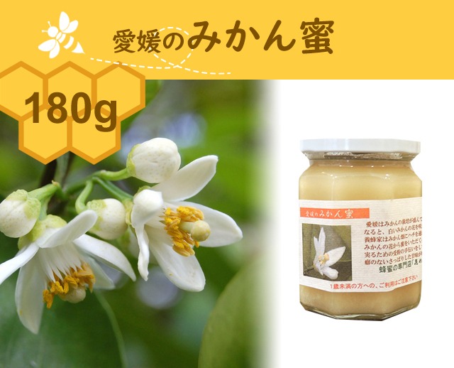 180g 愛媛のみかん蜜