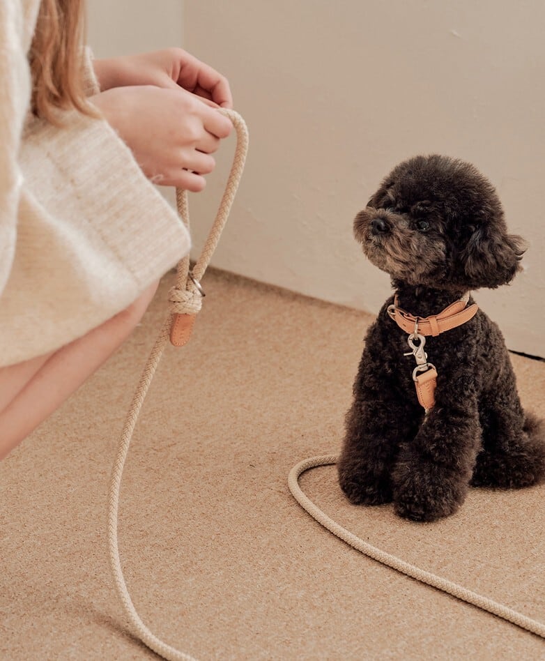 即納【stroll】Rope Leash Classic (Beige)