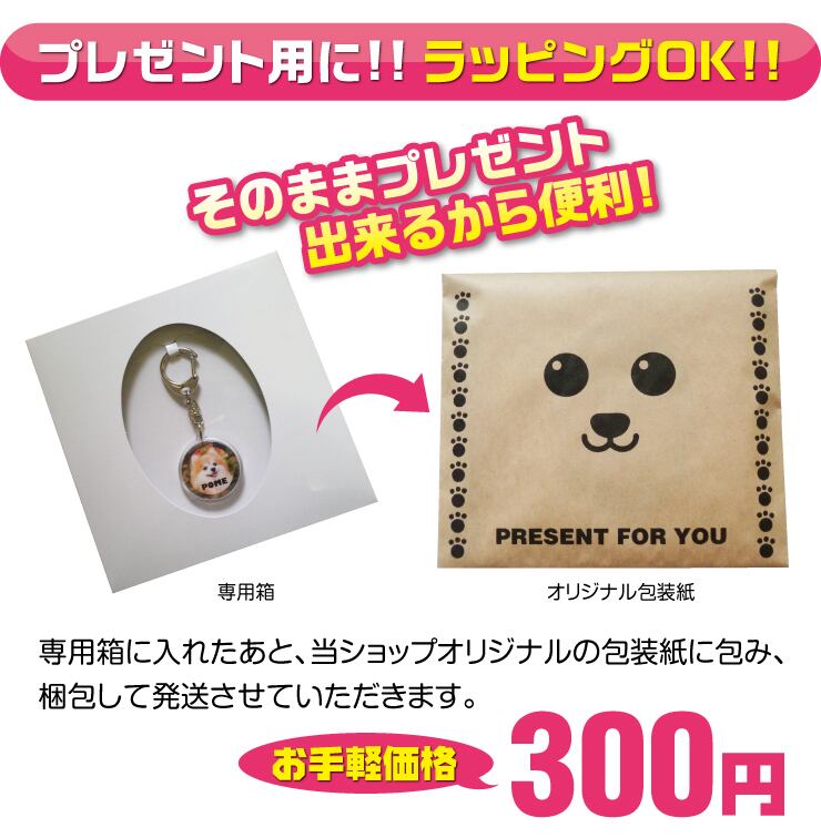 犬 猫 ペット ハムスター キーホルダー 写真 名前入り オーダーメイド