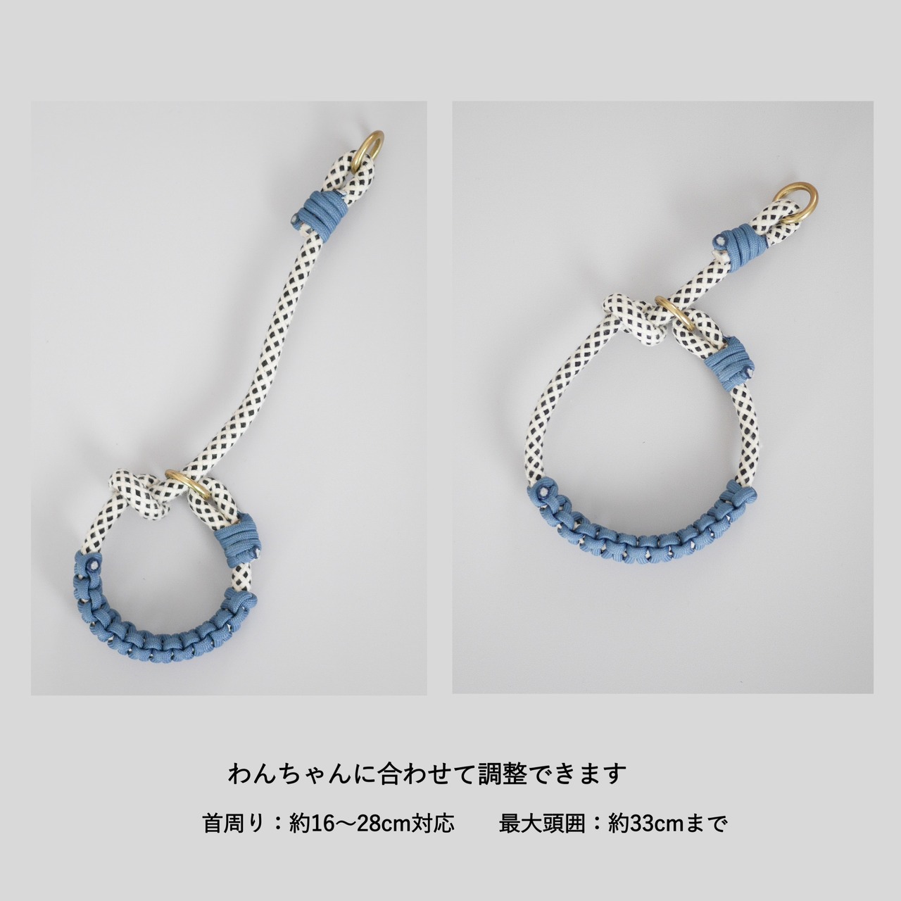 ドッグリード│ピクセル