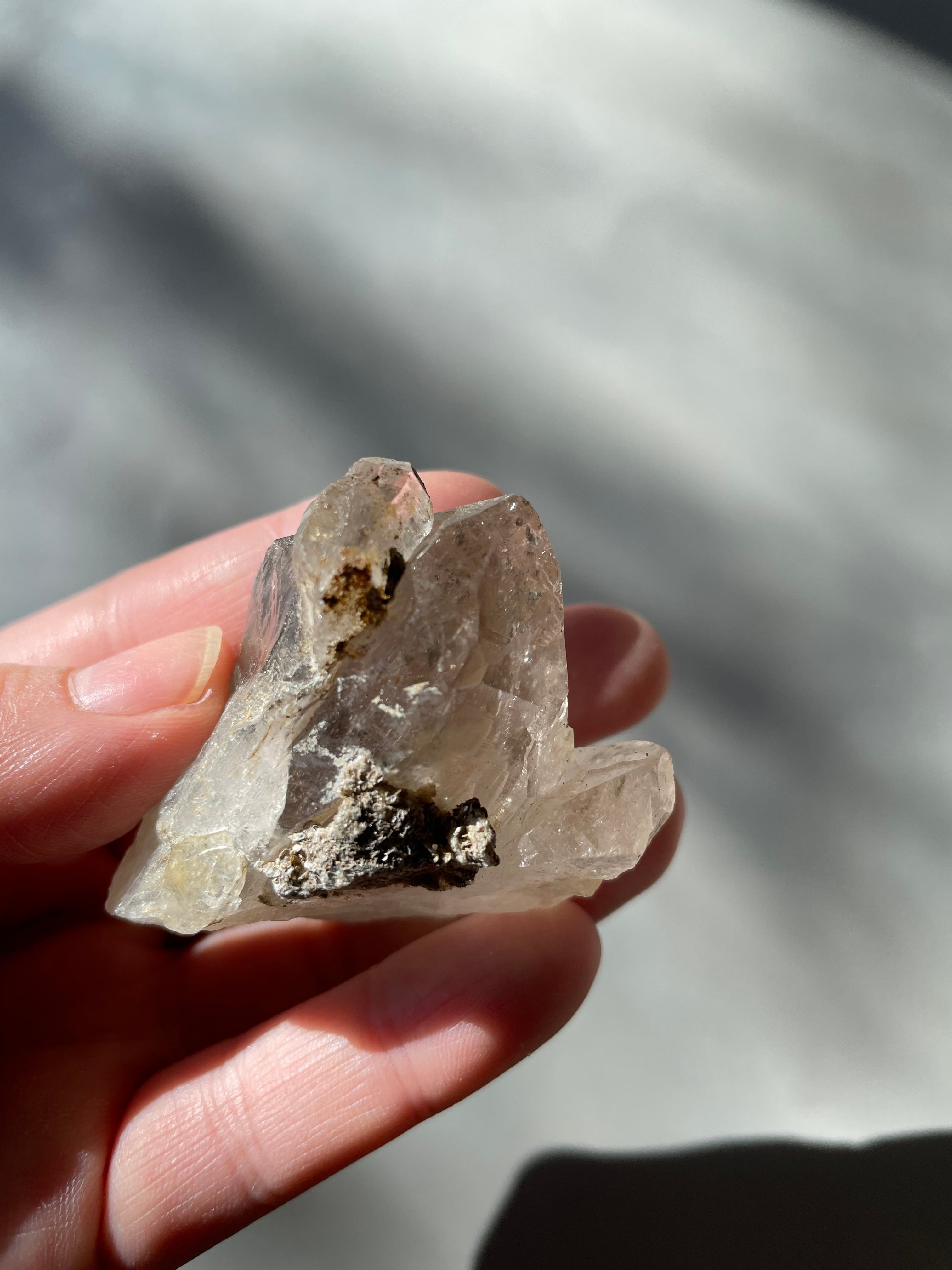 パキスタン　ギルギット　スカルドゥ産　ゴールデンヒーラー　マニフェステーション